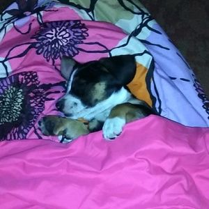 Meet your Posher, Casidy